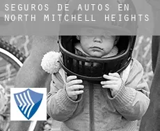 Seguros de autos en  North Mitchell Heights