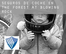 Seguros de coche en  The Forest at Blowing Rock