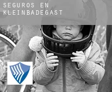 Seguros en  Kleinbadegast
