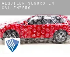 Alquiler seguro en  Callenberg