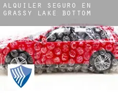 Alquiler seguro en  Grassy Lake Bottom