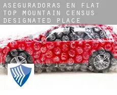 Aseguradoras en  Flat Top Mountain