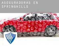 Aseguradoras en Springhills