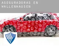 Aseguradoras en  Wallenhausen