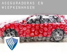 Aseguradoras en  Wiepkenhagen
