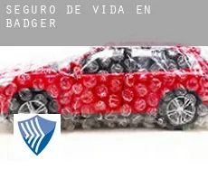 Seguro de vida en  Badger