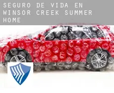 Seguro de vida en  Winsor Creek Summer Home