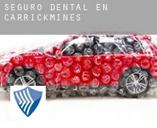 Seguro dental en  Carrickmines