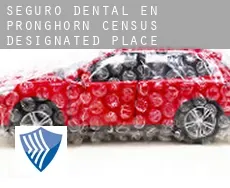 Seguro dental en  Pronghorn