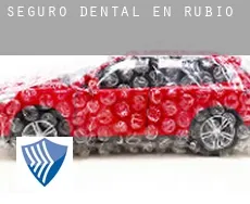 Seguro dental en Rubio