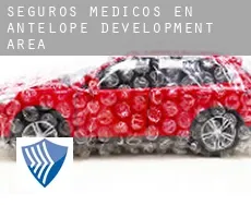 Seguros medicos en  Antelope Development Area