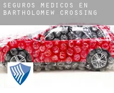 Seguros medicos en  Bartholomew Crossing