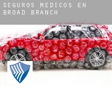 Seguros medicos en  Broad Branch