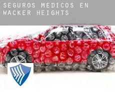 Seguros medicos en  Wacker Heights