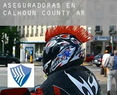 Aseguradoras en  Calhoun County