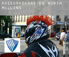Aseguradoras en North Mullins