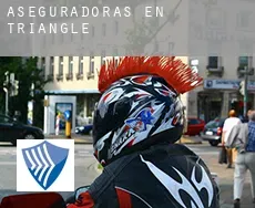 Aseguradoras en  Triangle