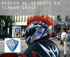 Asesor de seguros en  Timber Chase
