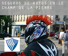 Seguros de autos en Le Champ-de-la-Pierre