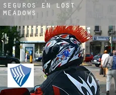 Seguros en  Lost Meadows