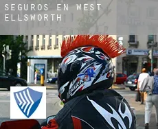 Seguros en  West Ellsworth