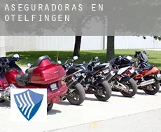 Aseguradoras en Otelfingen
