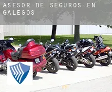 Asesor de seguros en  Galegos