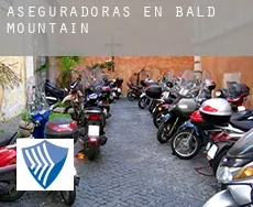 Aseguradoras en Bald Mountain