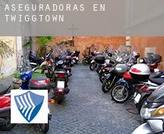 Aseguradoras en Twiggtown