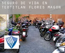 Seguro de vida en  Teotitlán de Flores Magón