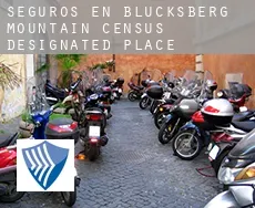 Seguros en  Blucksberg Mountain
