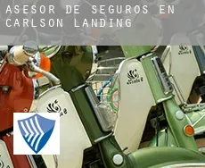 Asesor de seguros en  Carlson Landing