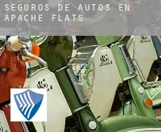 Seguros de autos en  Apache Flats