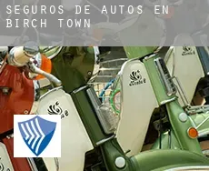 Seguros de autos en  Birch Town