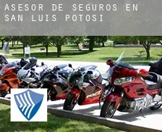 Asesor de seguros en  San Luis Potosí