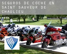 Seguros de coche en  Saint-Sauveur-de-Chaulieu