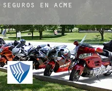 Seguros en  Acme