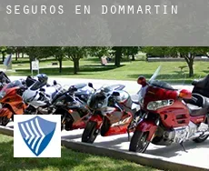 Seguros en  Dommartin