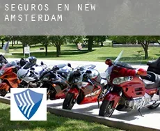 Seguros en  New Amsterdam