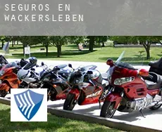 Seguros en  Wackersleben