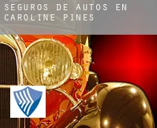 Seguros de autos en  Caroline Pines