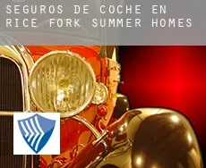 Seguros de coche en Rice Fork Summer Homes