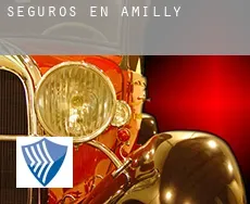 Seguros en  Amilly