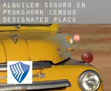 Alquiler seguro en  Pronghorn