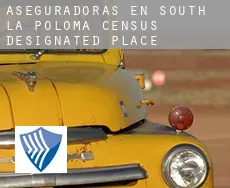Aseguradoras en South La Poloma