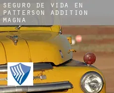 Seguro de vida en  Patterson Addition Magna