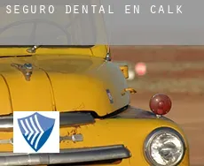 Seguro dental en  Calk