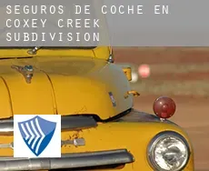 Seguros de coche en  Coxey Creek Subdivision
