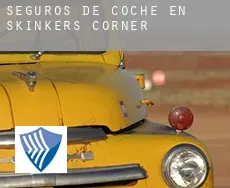 Seguros de coche en  Skinkers Corner