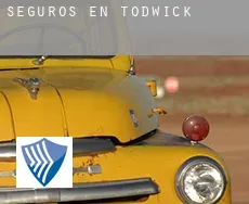 Seguros en Todwick